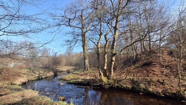 Harwood Water, Polbeth